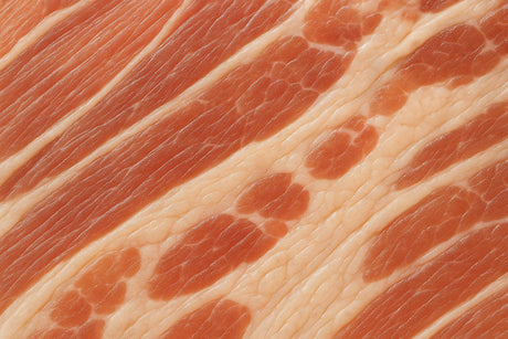 Cultivated Meat Texture: Myths vs Facts